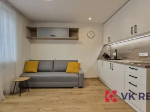 Pronájem bytu 1+kk, Plzeň - Jižní Předměstí, Raisova, 27 m2