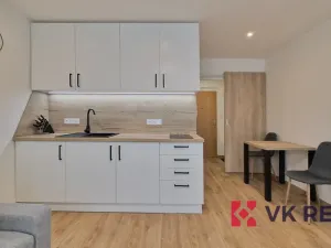 Pronájem bytu 1+kk, Plzeň - Jižní Předměstí, Raisova, 27 m2