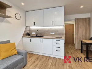 Pronájem bytu 1+kk, Plzeň - Jižní Předměstí, Raisova, 27 m2