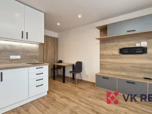 Pronájem bytu 1+kk, Plzeň - Jižní Předměstí, Raisova, 27 m2