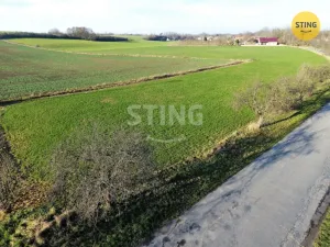 Prodej pozemku pro bydlení, Lozice, 1167 m2