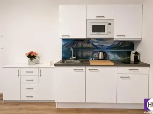 Prodej bytu 2+kk, Praha, Petrská, 42 m2