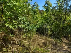 Prodej pozemku pro bydlení, Lom, Tyršova stezka, 888 m2