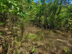 Prodej pozemku pro bydlení, Lom, Tyršova stezka, 888 m2