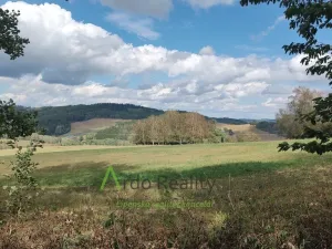 Prodej pozemku, Hořice na Šumavě - Mýto, 2722 m2