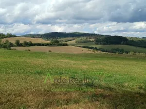 Prodej pozemku, Hořice na Šumavě - Mýto, 2722 m2
