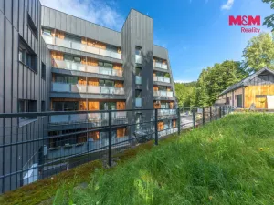 Prodej bytu 1+kk, Janov nad Nisou, 29 m2