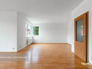 Prodej bytu 2+kk, Plzeň - Východní Předměstí, Květná, 69 m2