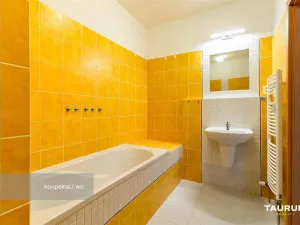 Prodej bytu 2+kk, Plzeň - Východní Předměstí, Květná, 69 m2