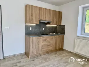 Pronájem bytu 1+kk, Moravské Bránice, 35 m2