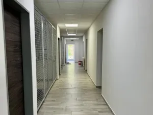 Pronájem bytu 1+kk, Moravské Bránice, 35 m2