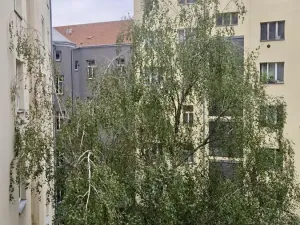 Pronájem bytu 1+1, Praha - Nusle, Nuselská, 42 m2