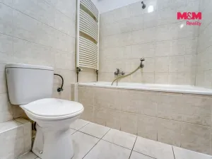 Pronájem bytu 1+kk, Plzeň - Severní Předměstí, Vrbovecká, 44 m2