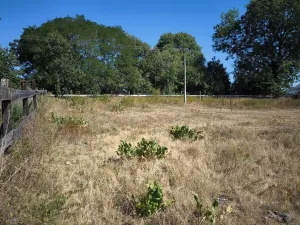 Prodej pozemku pro bydlení, Tučapy, 1826 m2