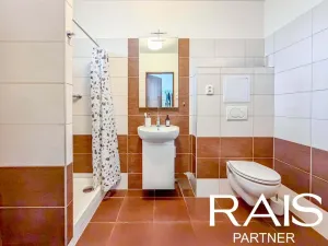 Prodej bytu 1+kk, Brno - Husovice, Svitavská, 30 m2