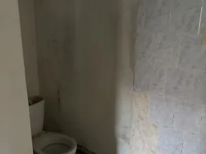Pronájem rodinného domu, Přerubenice, 100 m2