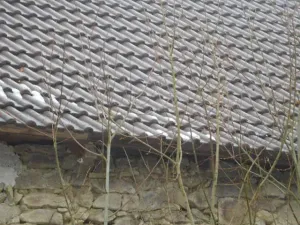 Dražba rodinného domu, Blažejov, 666 m2