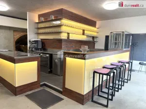 Prodej komerční nemovitosti, Pavlov, Česká, 264 m2
