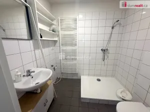 Prodej komerční nemovitosti, Pavlov, Česká, 264 m2