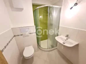 Pronájem bytu 1+kk, Zlín, Švermova, 30 m2