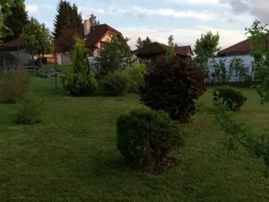 Prodej pozemku pro bydlení, Rotava, 919 m2