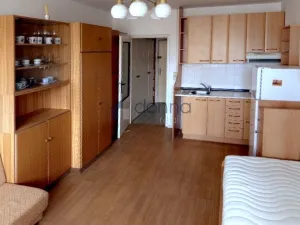 Pronájem bytu 1+kk, Praha, Kyselova, 23 m2