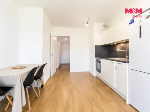 Prodej bytu 1+kk, Praha - Chodov, Bachova, 38 m2