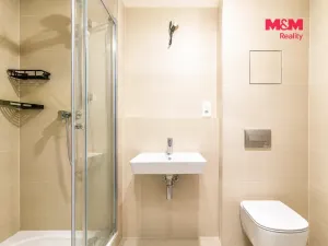 Prodej bytu 1+kk, Praha - Chodov, Bachova, 38 m2