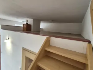 Pronájem bytu 1+kk, České Budějovice - České Budějovice 7, 46 m2