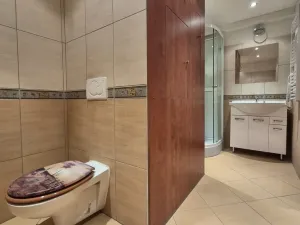Pronájem bytu 1+kk, České Budějovice - České Budějovice 7, 46 m2