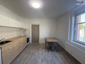 Pronájem bytu 1+1, Peruc, V Edenu, 44 m2