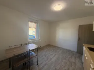 Pronájem bytu 1+1, Peruc, V Edenu, 44 m2