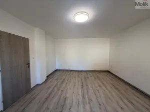 Pronájem bytu 1+1, Peruc, V Edenu, 44 m2