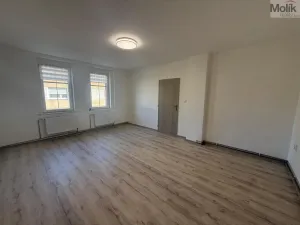 Pronájem bytu 1+1, Peruc, V Edenu, 44 m2