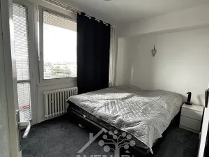Pronájem bytu 3+kk, Praha - Strašnice, Přetlucká, 42 m2