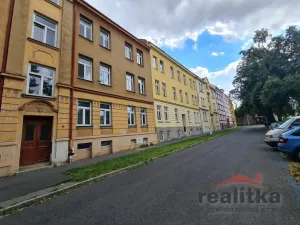 Prodej bytu 3+1, Opava - Předměstí, Joy Adamsonové, 118 m2