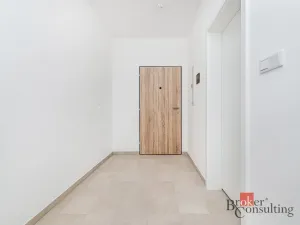 Prodej bytu 1+kk, Plzeň - Jižní Předměstí, Železná, 37 m2