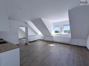 Pronájem bytu 3+kk, Dubí - Běhánky, Sportovní, 92 m2
