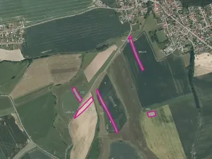 Prodej pole, Dnešice, 26441 m2