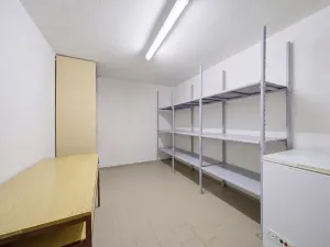 Prodej rodinného domu, Luženičky, 300 m2
