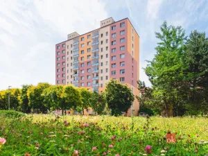 Pronájem bytu 1+kk, Plzeň - Bolevec, Kralovická, 32 m2