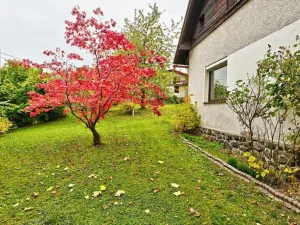 Prodej rodinného domu, Horní Branná - Valteřice, 203 m2