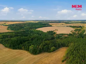 Prodej lesa, Břežany, 4230 m2