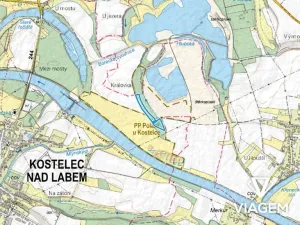 Prodej podílu lesa, Kostelec nad Labem, 2389 m2