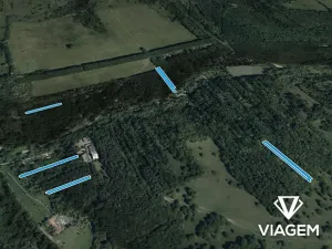 Prodej lesa, Kněždub, 3980 m2