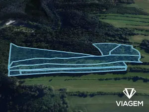 Prodej podílu lesa, Kuřimská Nová Ves, 25162 m2