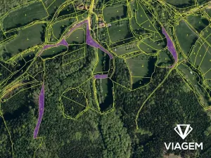 Prodej podílu pole, Bratřejov, 1077 m2