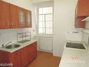 Pronájem bytu 1+1, Brno, Gorkého, 45 m2