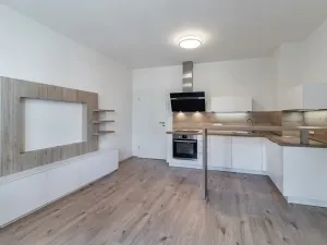 Pronájem bytu 1+kk, Praha - Košíře, Vrchlického, 31 m2
