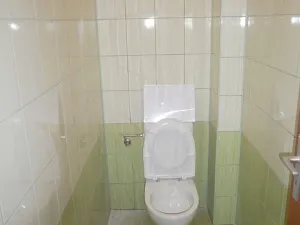 Pronájem bytu 1+1, Hranice - Hranice I-Město, Cementářské sídliště, 55 m2